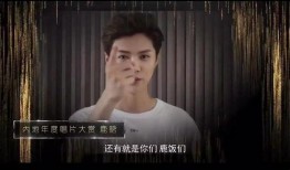 爆料老陈网红视频大全集,揭秘网络红人的魅力瞬间